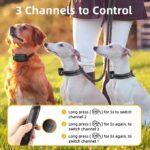 ROJECO 1000m PD521 Dog Training Collar