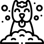 rocoren