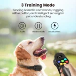 Écran LCD intelligent pour un contrôle précis du dressage canin