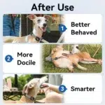 ROJECO Collier Anti Aboiement Chien Intelligent IPX7 avec Écran LED – Image 4